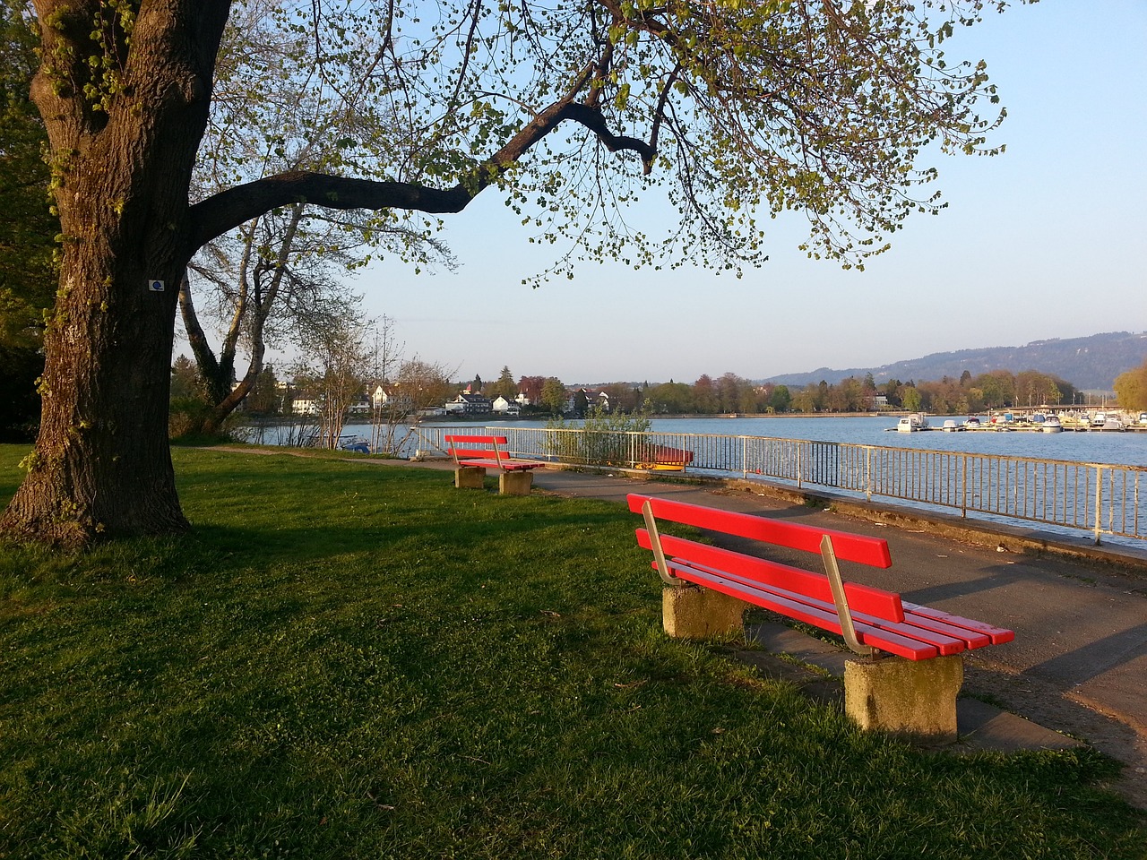 将完全依赖 将完全依赖