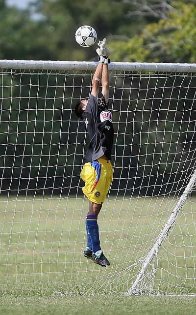 也备受球迷 也备受球迷