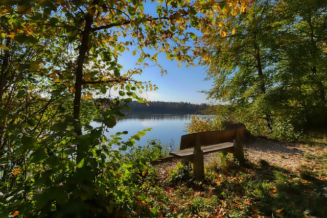 中能更好地 中能更好地