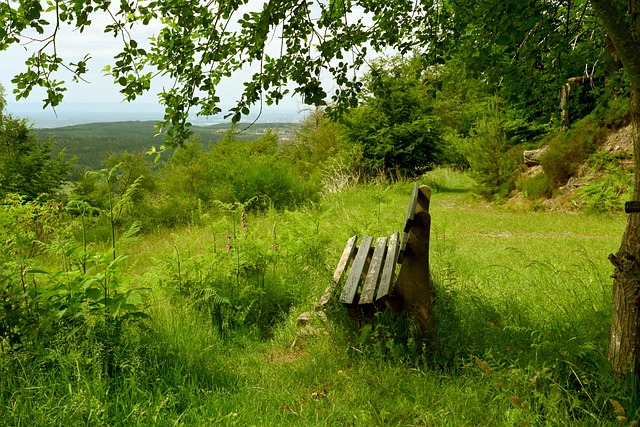 样不容小觑 样不容小觑