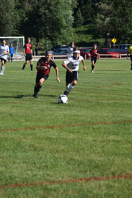 他的职业经 他的职业经